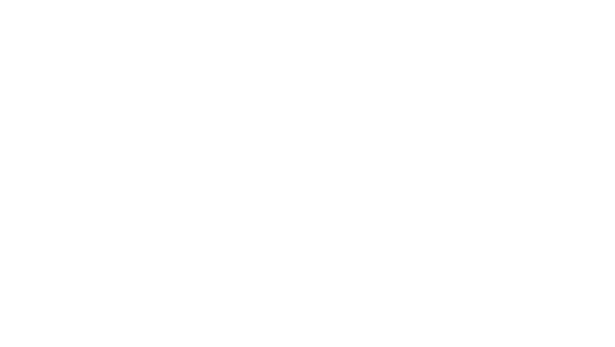 Lenz Human Capital